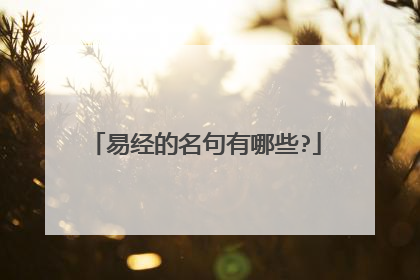 易经的名句有哪些?