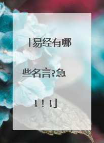 易经有哪些名言?急!!!