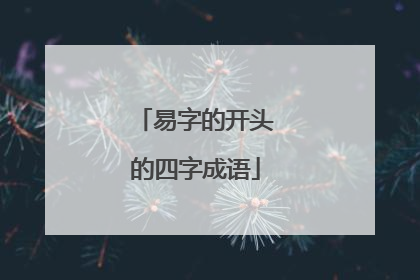 易字的开头的四字成语