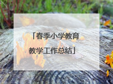 春季小学教育教学工作总结