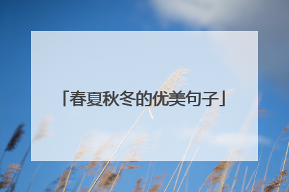 春夏秋冬的优美句子