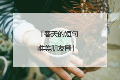 春天的短句唯美朋友圈