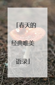 春天的经典唯美语录