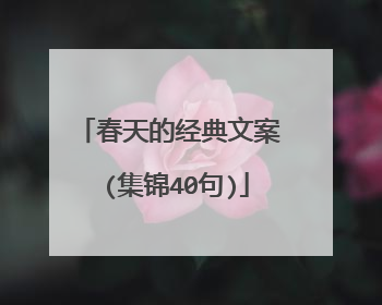 春天的经典文案 (集锦40句)