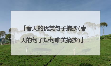 春天的优美句子摘抄(春天的句子短句唯美摘抄)