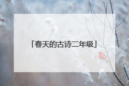 春天的古诗二年级