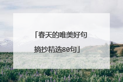 春天的唯美好句摘抄精选80句