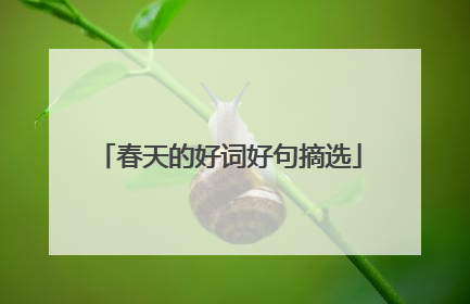 春天的好词好句摘选