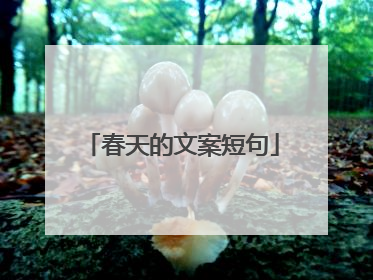 春天的文案短句