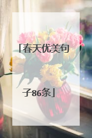 春天优美句子86条