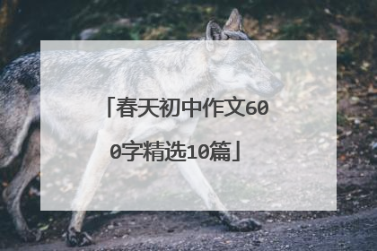 春天初中作文600字精选10篇