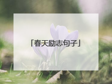 春天励志句子