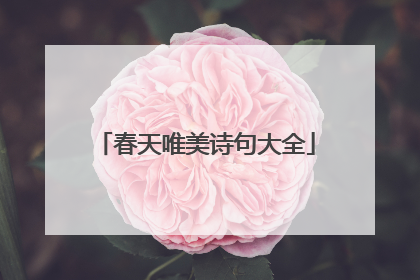 春天唯美诗句大全