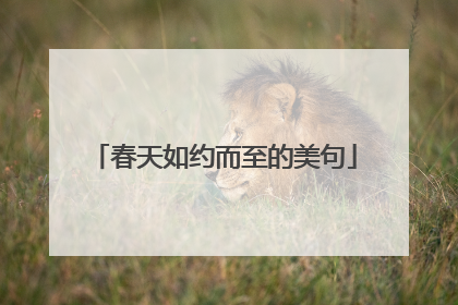 春天如约而至的美句