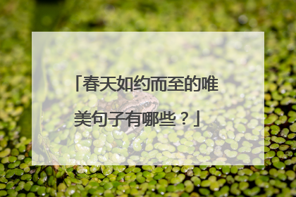 春天如约而至的唯美句子有哪些？