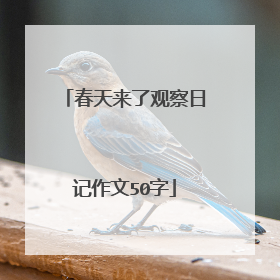 春天来了观察日记作文50字