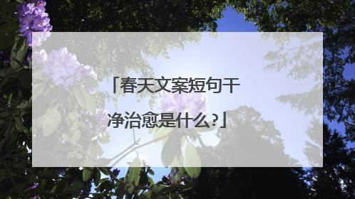 春天文案短句干净治愈是什么?