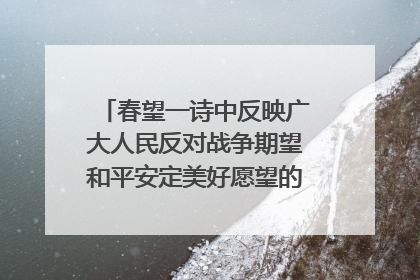春望一诗中反映广大人民反对战争期望和平安定美好愿望的诗句是什么?