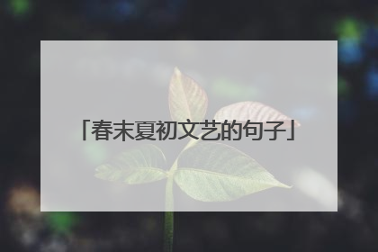 春末夏初文艺的句子