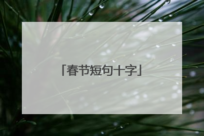 春节短句十字