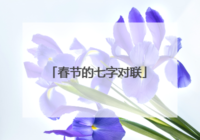 春节的七字对联