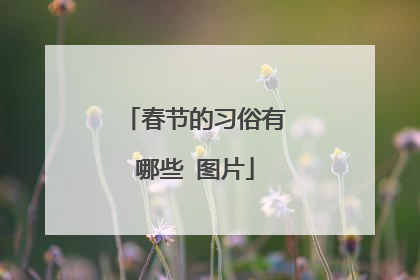 春节的习俗有哪些 图片