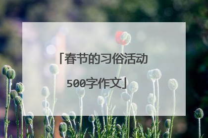 春节的习俗活动500字作文