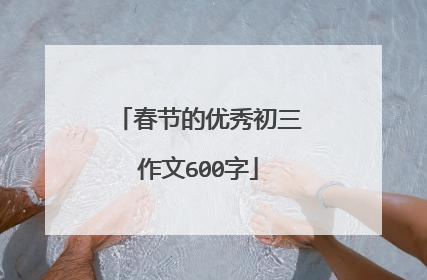 春节的优秀初三作文600字