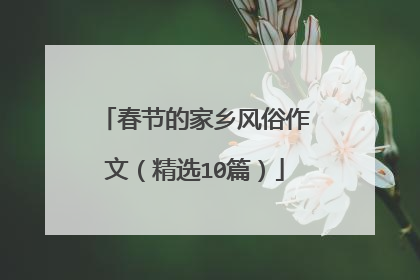 春节的家乡风俗作文(精选10篇)