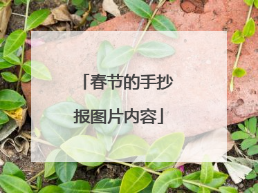 春节的手抄报图片内容