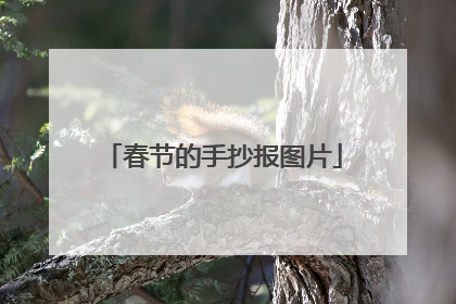 春节的手抄报图片