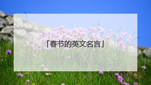 春节的英文名言