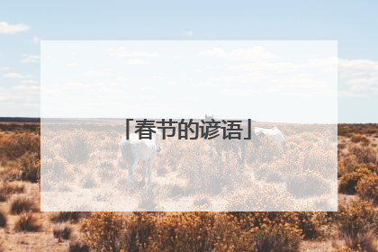 春节的谚语