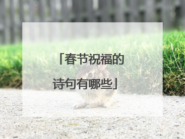 春节祝福的诗句有哪些