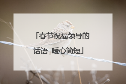 春节祝福领导的话语 暖心简短