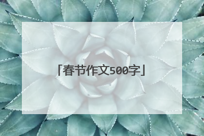 春节作文500字