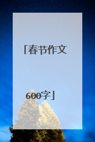 春节作文600字