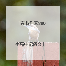 春节作文800字高中记叙文