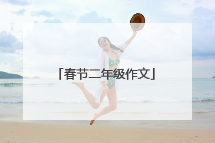春节二年级作文