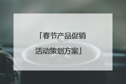 春节产品促销活动策划方案