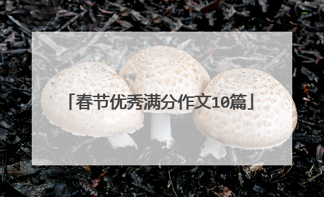 春节优秀满分作文10篇