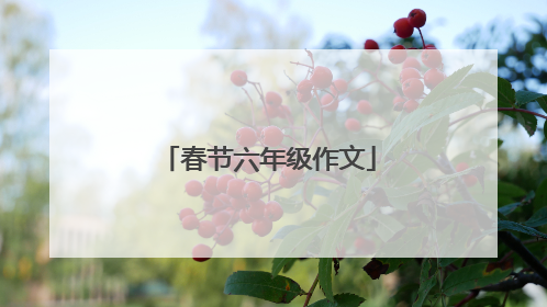 春节六年级作文