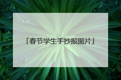 春节学生手抄报图片