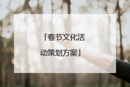 春节文化活动策划方案