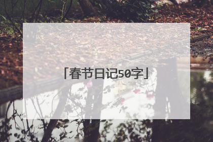 春节日记50字
