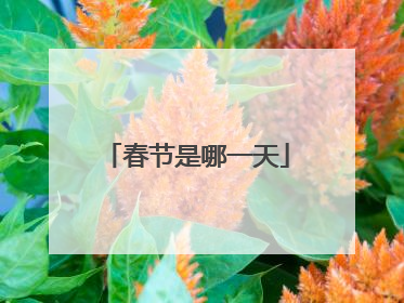 春节是哪一天