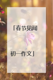 春节见闻初一作文