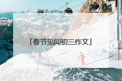 春节见闻初三作文