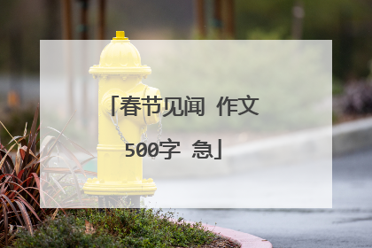 春节见闻 作文500字 急