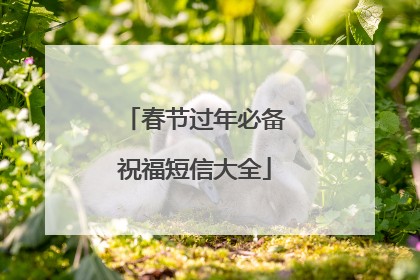 春节过年必备祝福短信大全